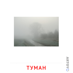 Карточка Домана Туман