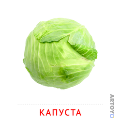 Карточка Домана «Капуста» из категории Карточки Домана на тему «Овощи и травы