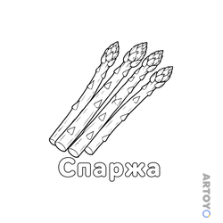 Раскраска «Спаржа» из категории Овощи