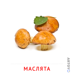 Карточки Домана для самых маленьких: карточка Домана Карточка Домана «Маслята»