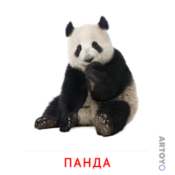 Карточки Домана для детей на тему «Животные: карточка Домана Панда