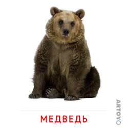 Карточка Домана Медведь, чёрно-белый контур