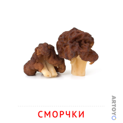 Карточки Домана для самых маленьких: карточка Домана Карточка Домана «Сморчки»