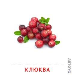 Карточки Домана для детей на тему «Фрукты и ягоды: карточка Домана Клюква