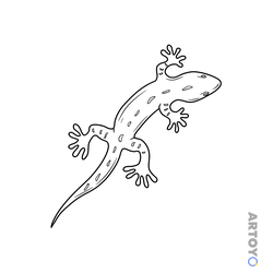 Ящерицы: раскраска Ящерица