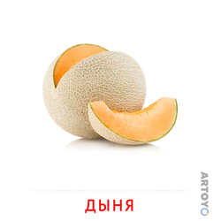 Карточки Домана для детей на тему «Фрукты и ягоды: карточка Домана Дыня