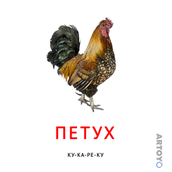 Карточка Домана Карточка Домана звукоподражание «Петух» — А4
