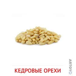 Карточка Домана Кедровые орехи, чёрно-белый контур