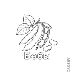 Раскраска Бобы — А4