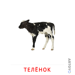 Карточка Домана Телёнок — А4