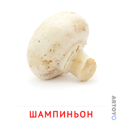 Карточка Домана «Карточка Домана «Шампиньон»» из категории Карточки Домана для самых маленьких
