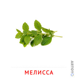 Мелисса — карточка Домана для распечатки