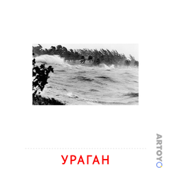 Карточка Домана «Ураган» из категории Карточки Домана на тему «Явления природы