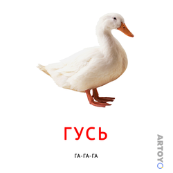 Карточка Домана Карточка Домана звукоподражание «Гусь»
