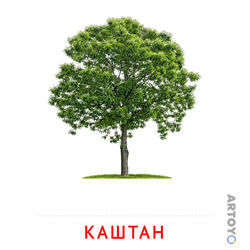 Карточки Домана на тему «Листья и деревья: карточка Домана Каштан