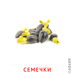 Карточка Домана Семечки, чёрно-белый контур