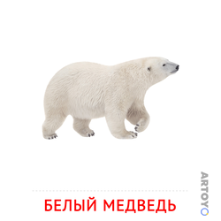 Карточка Домана Белый медведь — А4