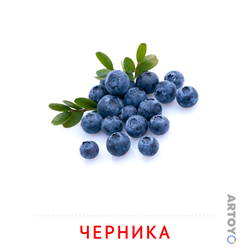 Карточка Домана Черника, чёрно-белый контур