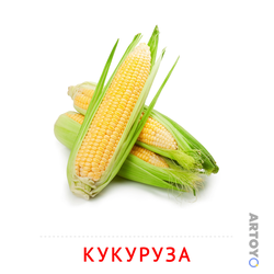 Кукуруза — карточка Домана для распечатки
