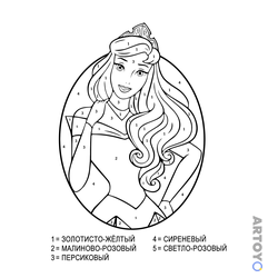 Раскраска Спящая красавица по номерам