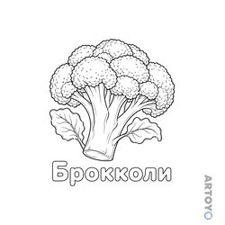 Раскраска Брокколи, чёрно-белый контур
