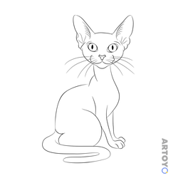 Кот сфинкс — раскраска для распечатки