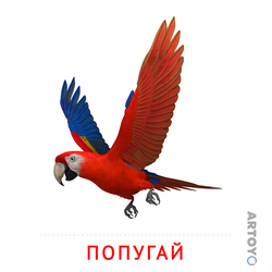 Карточка Домана Попугай, чёрно-белый контур