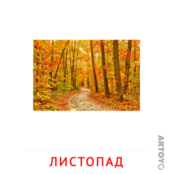 Карточка Домана Листопад — А4