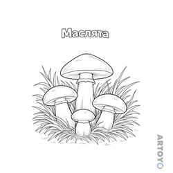 Раскраска Маслята