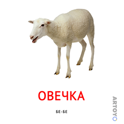 Карточка Домана «Овечка» — карточка Домана для распечатки