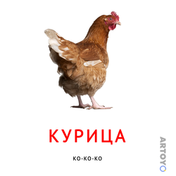 Карточка Домана Карточка Домана звукоподражание «Курица», чёрно-белый контур