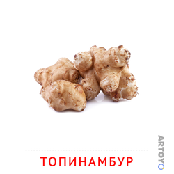 Карточки Домана на тему «Овощи и травы: карточка Домана Топинамбур