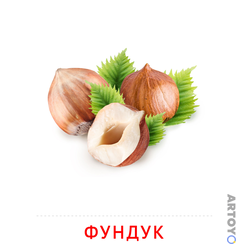 Фундук — карточка Домана для распечатки