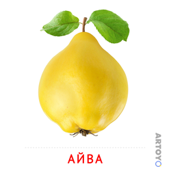 Карточки Домана для детей на тему «Фрукты и ягоды: карточка Домана Айва