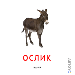 Карточка Домана «Карточка Домана «Ослик»» из категории Карточки Домана для самых маленьких