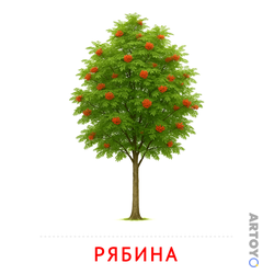 Карточки Домана на тему «Листья и деревья: карточка Домана Рябина