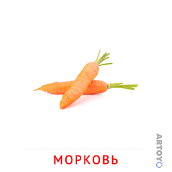 Карточка Домана «Морковь» из категории Карточки Домана на тему «Овощи и травы