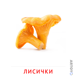 Карточка Домана Карточка Домана «Лисички», чёрно-белый контур