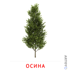 Карточка Домана Осина — А4