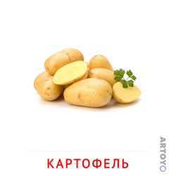 Карточка Домана «Картофель» из категории Карточки Домана на тему «Овощи и травы