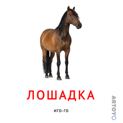 Карточка Домана «Лошадка» — карточка Домана для распечатки