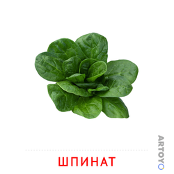 Карточка Домана Шпинат — А4