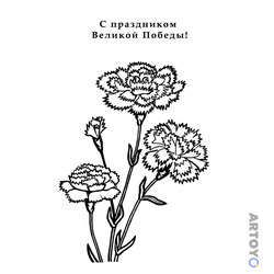 Раскраска Гвоздики к 9 мая — А4