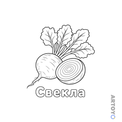 Свекла — раскраска для распечатки