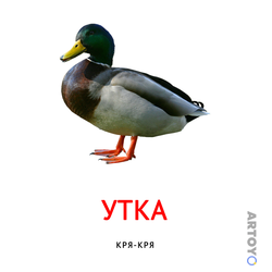 Карточка Домана Карточка Домана звукоподражание «Утка», чёрно-белый контур