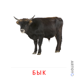 Карточка Домана Бык — А4