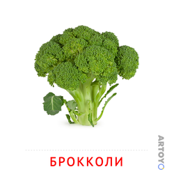 Карточка Домана «Брокколи» из категории Карточки Домана на тему «Овощи и травы