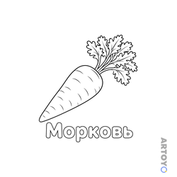Раскраска Морковь