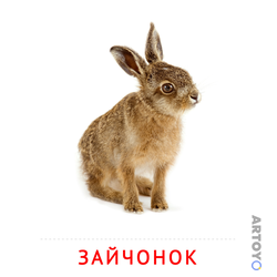 Карточка Домана Зайчонок, чёрно-белый контур
