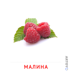Карточка Домана Малина